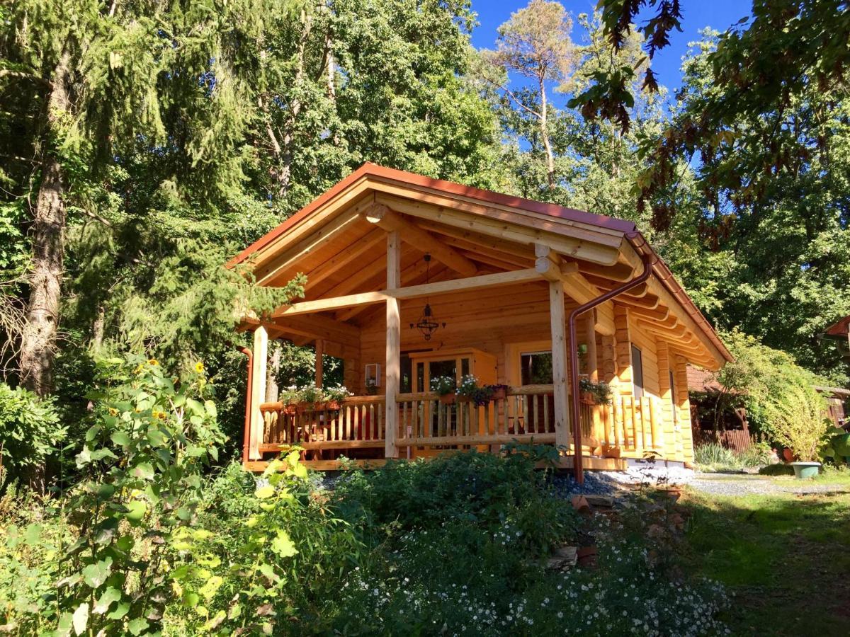 Blockhaus Chalet Mit Beheizbarem Badefass Und Infrarotsauna Auf Der Terrasse Oberschützen 외부 사진